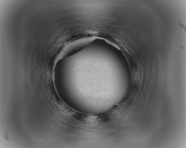 X0000098160609200804241805