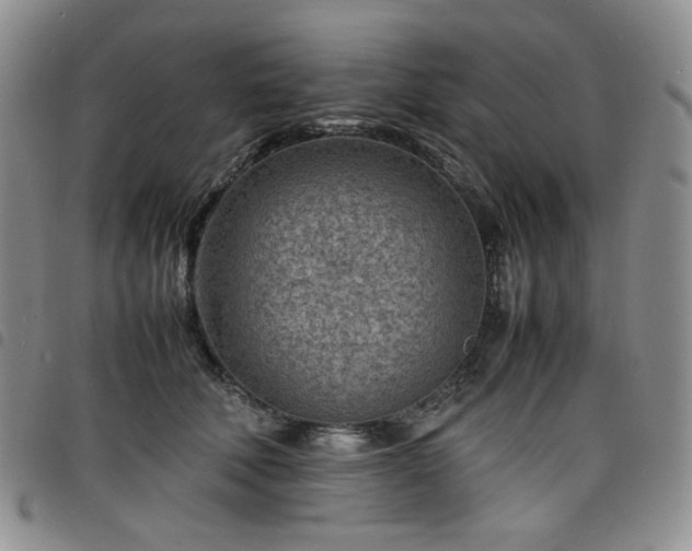 X0000098160610200804241805