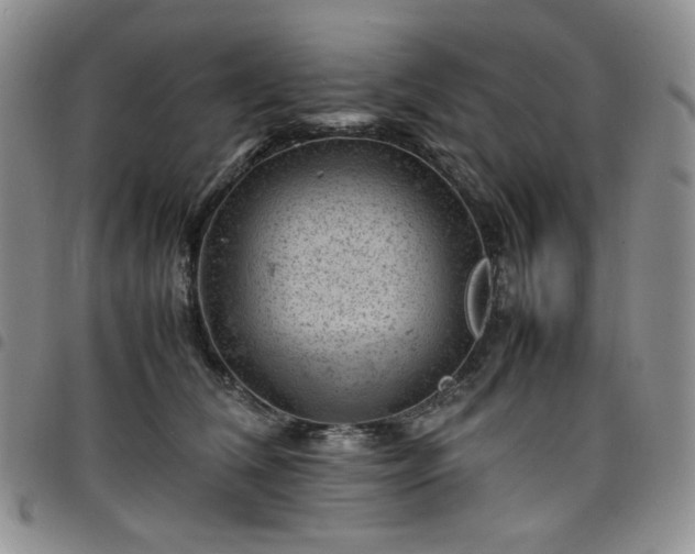 X0000098160612200804241805