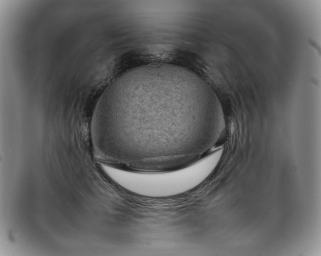 X0000098160613200804241805