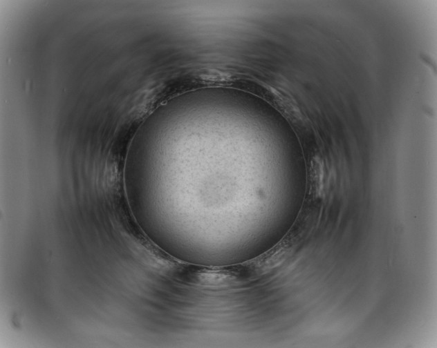 X0000098160614200804241805