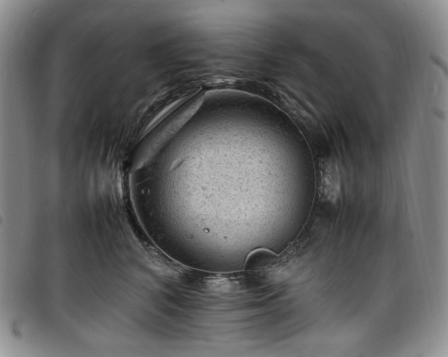 X0000098160616200804241805