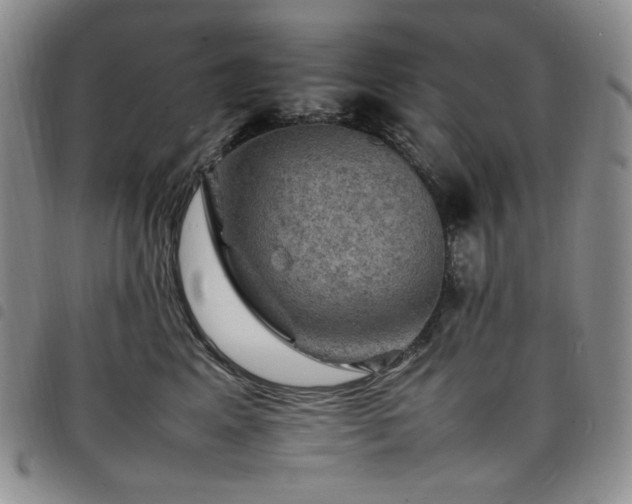 X0000098160617200804241805