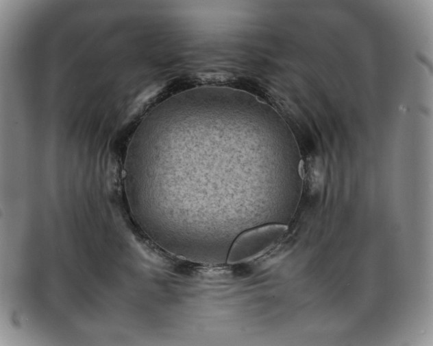 X0000098160619200804241805