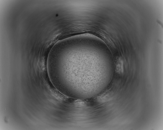 X0000098160620200804241805