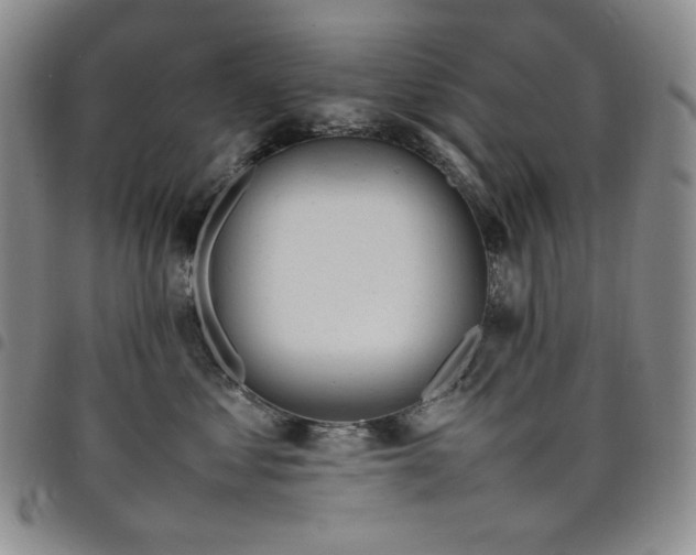 X0000098160621200804241805
