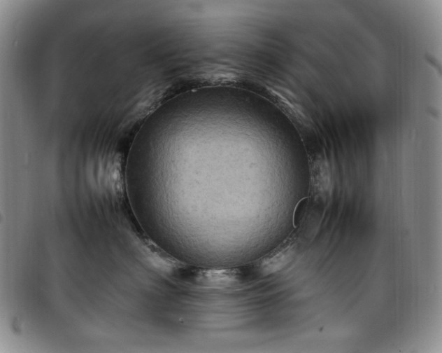 X0000098160622200804241805
