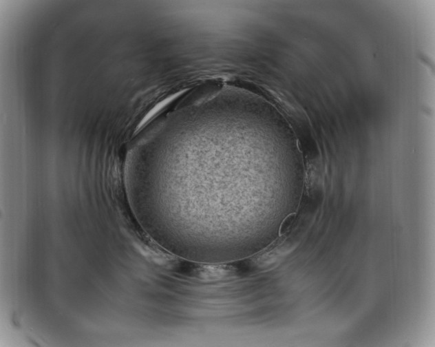X0000098160623200804241805