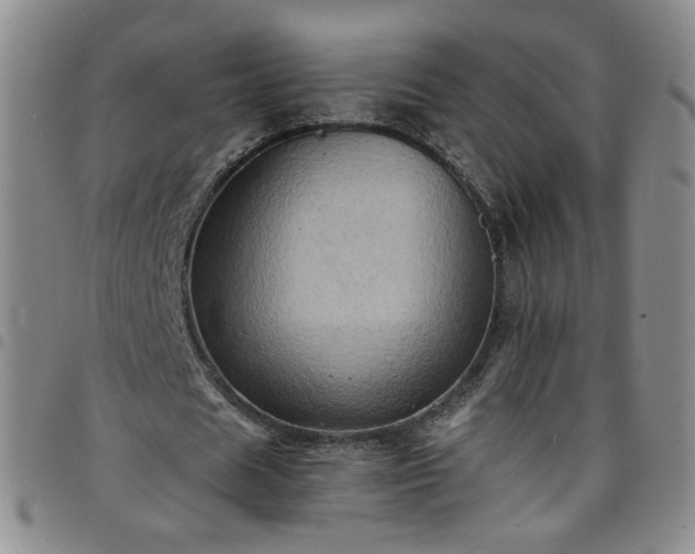X0000098160625200804241804