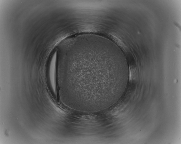 X0000098160627200804241804
