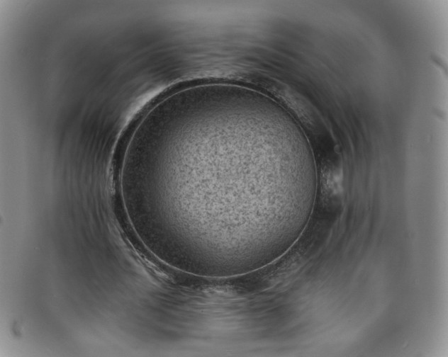 X0000098160628200804241804