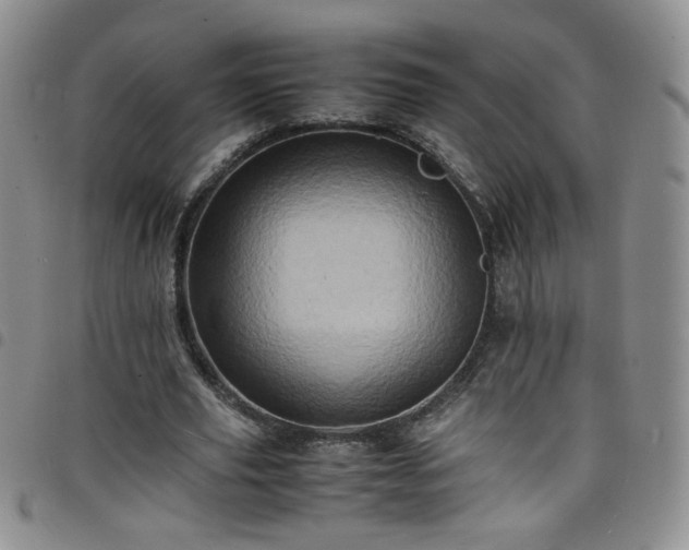 X0000098160629200804241804