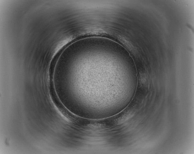 X0000098160630200804241804