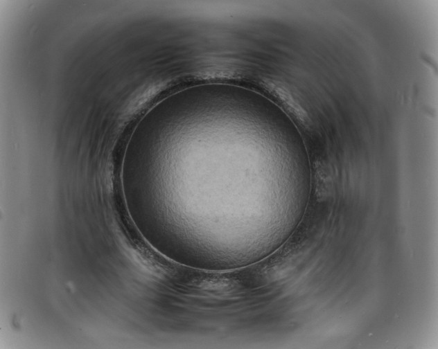 X0000098160631200804241804