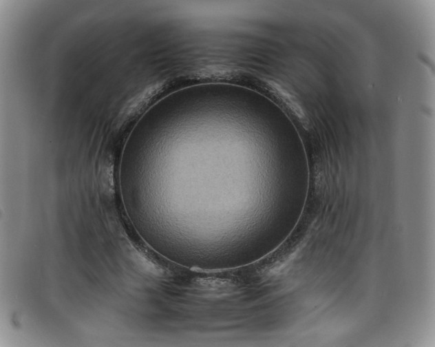 X0000098160633200804241804