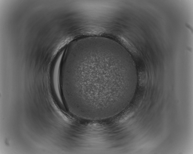 X0000098160634200804241804
