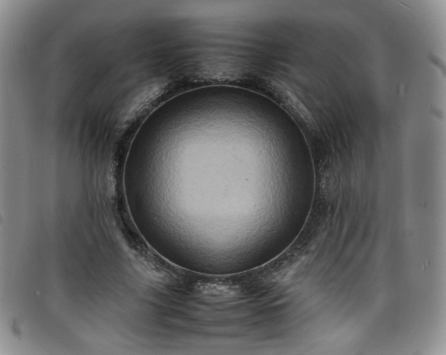X0000098160635200804241804
