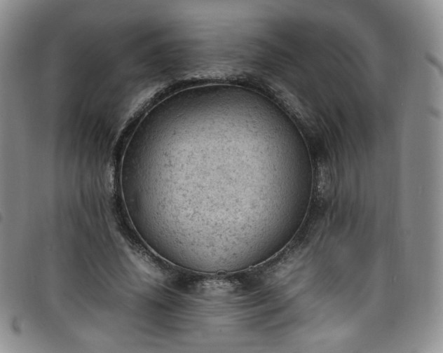 X0000098160636200804241804