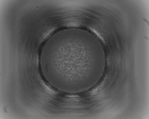 X0000098160637200804241804
