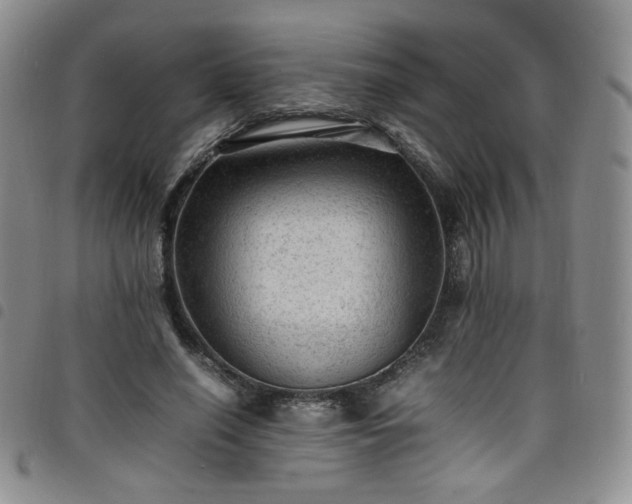 X0000098160638200804241804