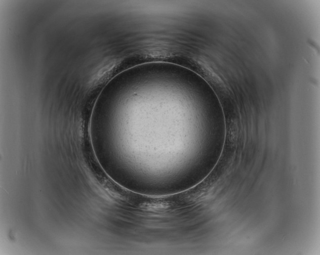 X0000098160639200804241804