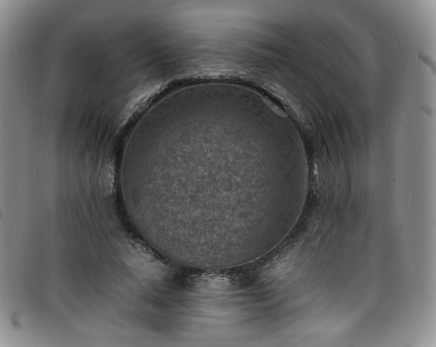 X0000098160640200804241804