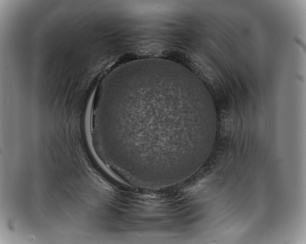 X0000098160641200804241804