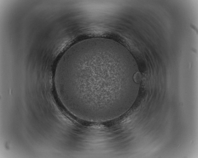X0000098160642200804241805