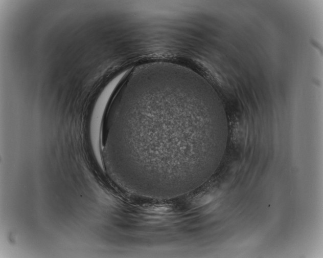 X0000098160643200804241805