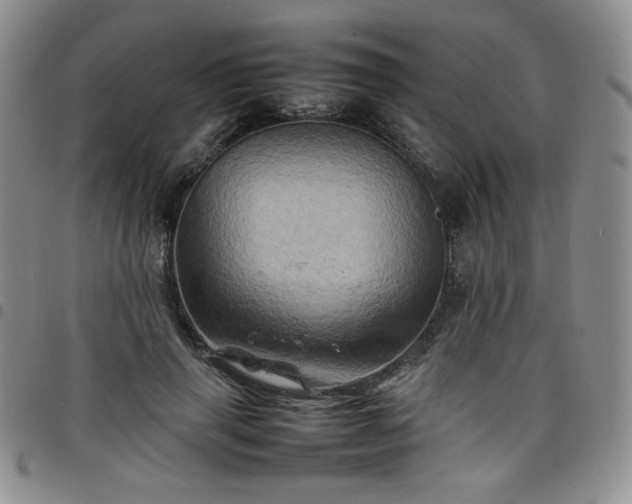 X0000098160645200804241805