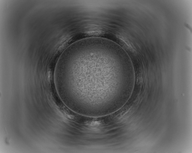 X0000098160647200804241805