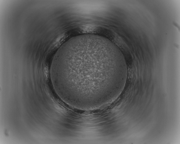 X0000098160648200804241805