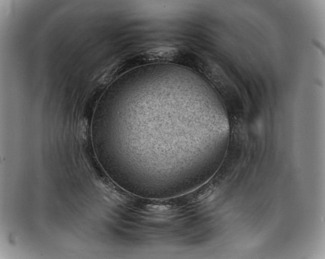 X0000098160649200804241805
