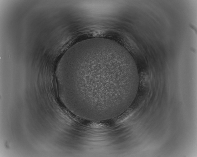 X0000098160650200804241805