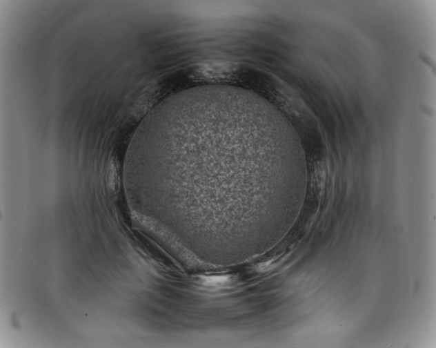 X0000098160651200804241805