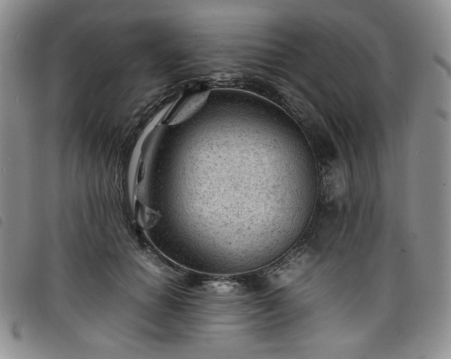 X0000098160654200804241805