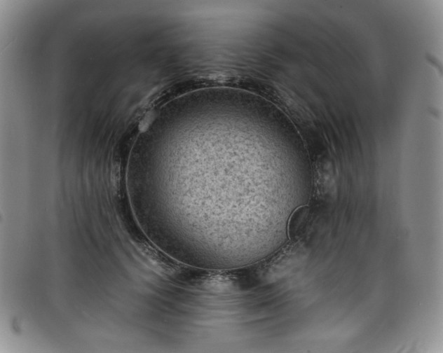 X0000098160656200804241805