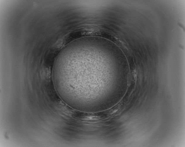 X0000098160657200804241805