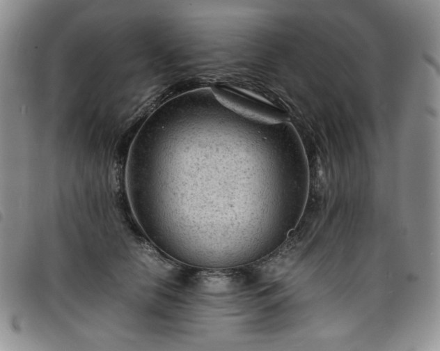 X0000098160658200804241805