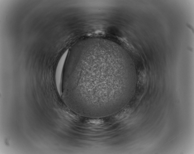 X0000098160659200804241805