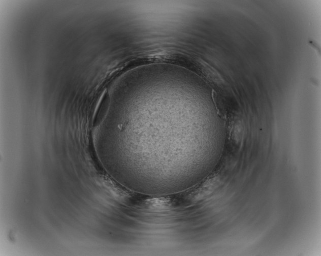 X0000098160660200804241805
