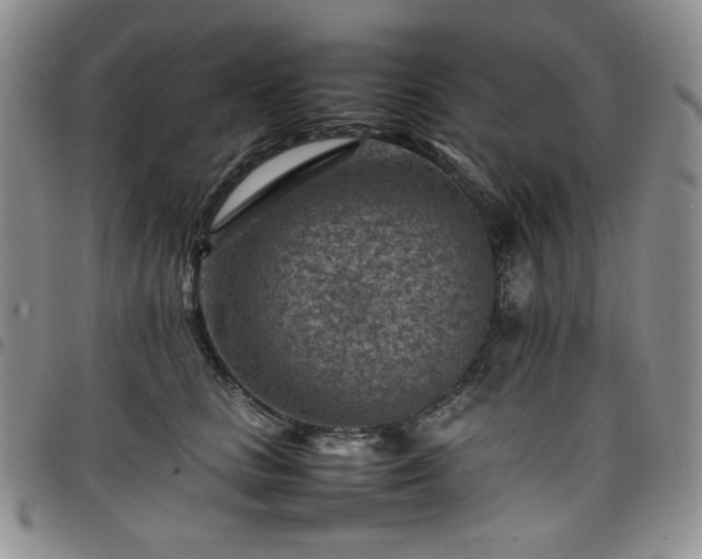 X0000098160661200804241805