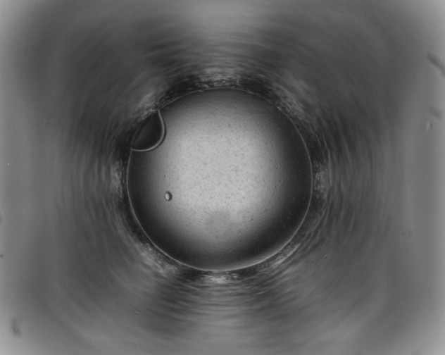 X0000098160662200804241805