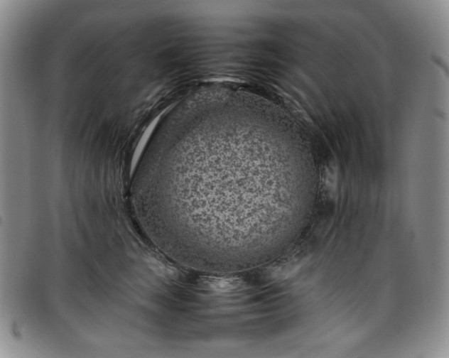 X0000098160663200804241805