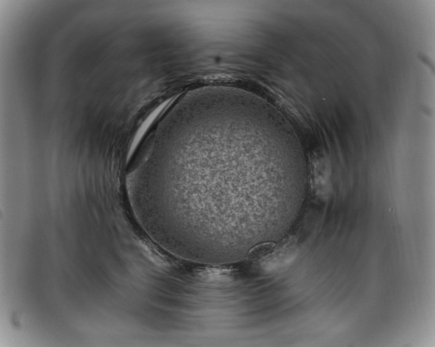X0000098160664200804241805