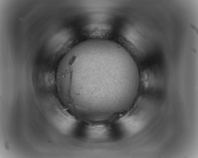 X0000098160665200804241805