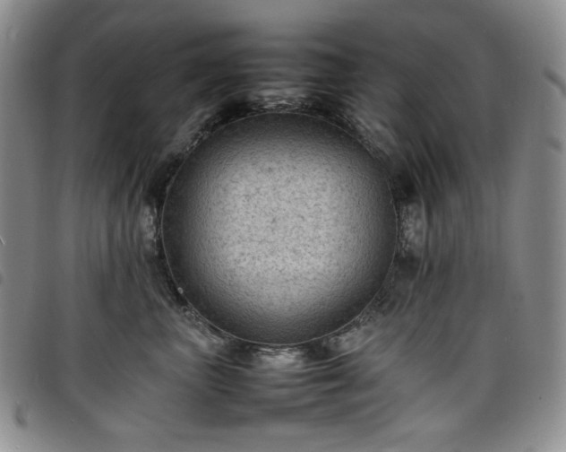 X0000098160667200804241805