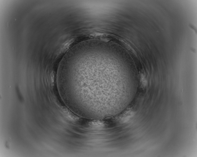 X0000098160668200804241805
