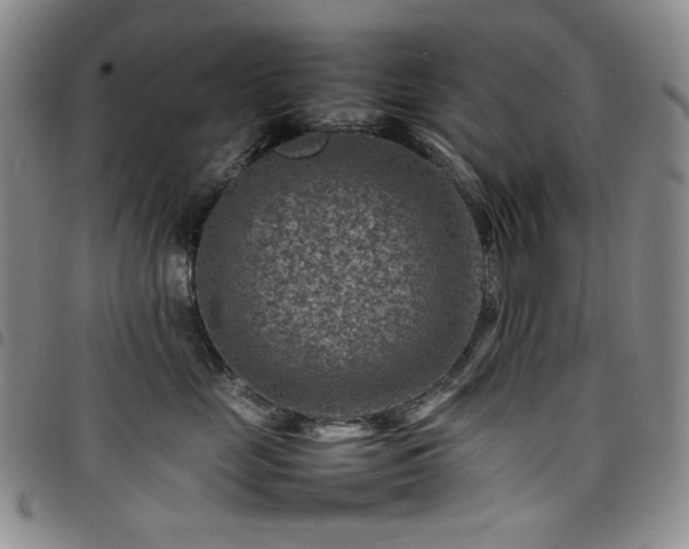 X0000098160669200804241805