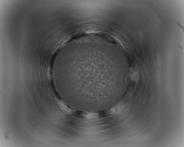 X0000098160670200804241805